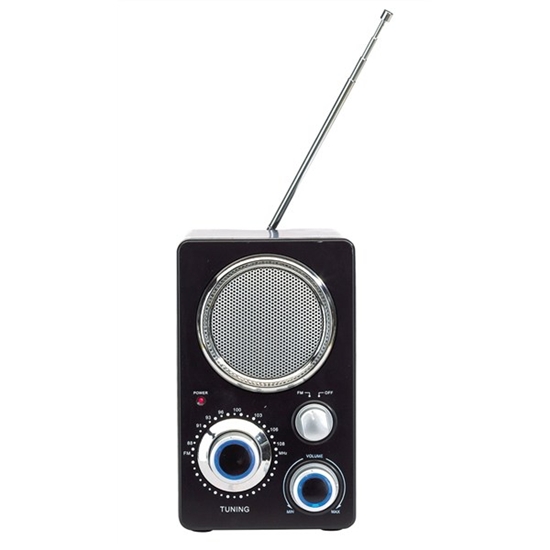 0406228_Aparat_radio_cu_antena