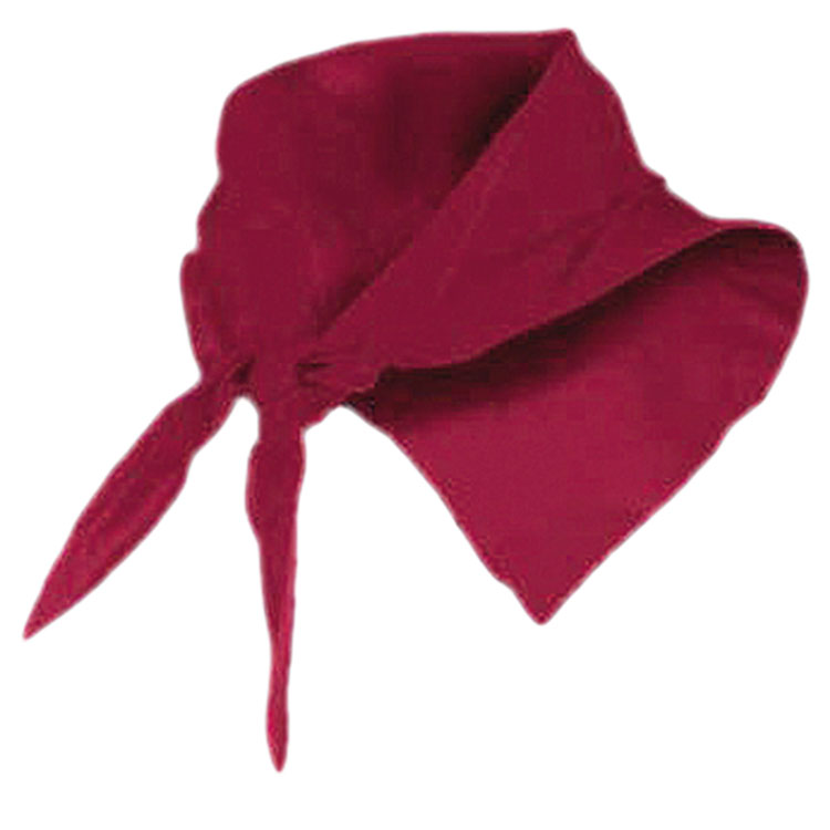bandane visinii unisex Roly 9003 Festero
