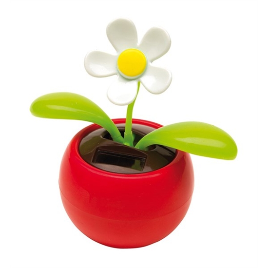 0410201_Floare_solara_decorativa