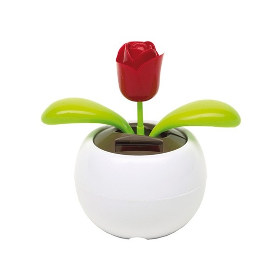 0410202_Floare_solara_decorativa
