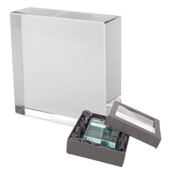 AP869008 trofee promotionale din sticla