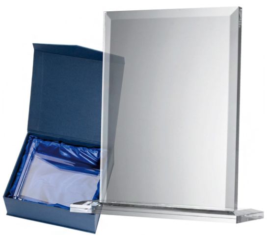 27502_Trofeu_elegant_pentru_birou