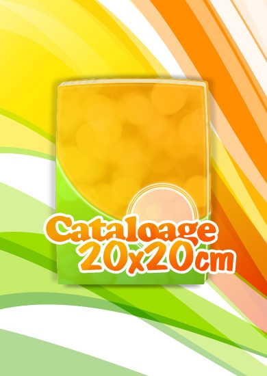 cataloage 20x20cm tipar digital si offset cataloage 20x20cm tipar digital si offset